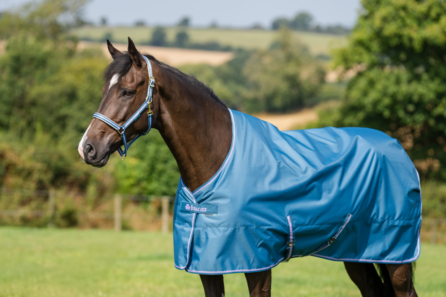 Derka padokowa Bucas Freedom Turnout Light AW26 Blueberry